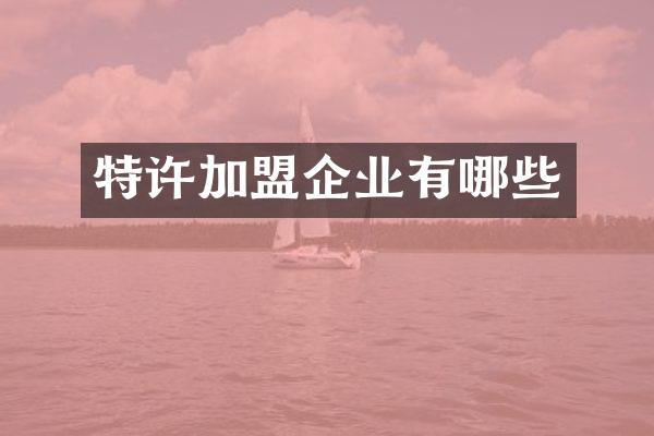 特许加盟企业有哪些