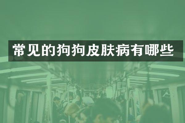 常见的狗狗皮肤病有哪些