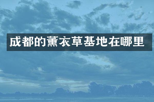 成都的薰衣草基地在哪里