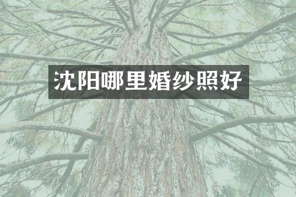 沈阳哪里婚纱照好