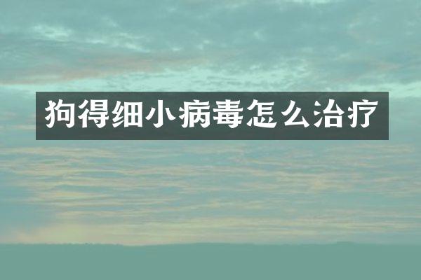 狗得细小病毒怎么治疗