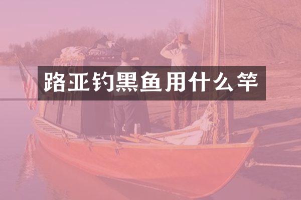 路亚钓黑鱼用什么竿