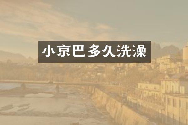 小京巴多久洗澡