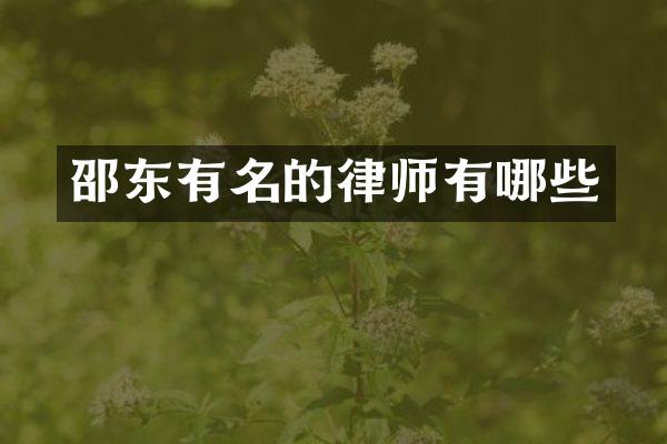 邵东有名的律师有哪些