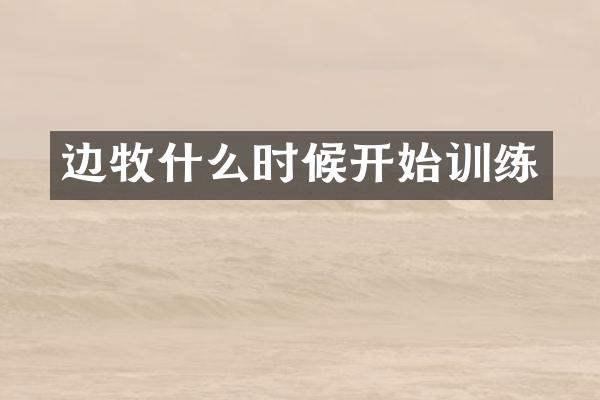 边牧什么时候开始训练