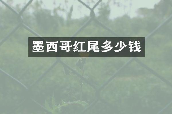 墨西哥红尾多少钱