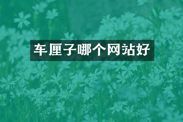 车厘子哪个网站好
