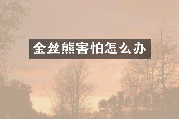 金丝熊害怕怎么办