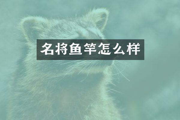 名将鱼竿怎么样