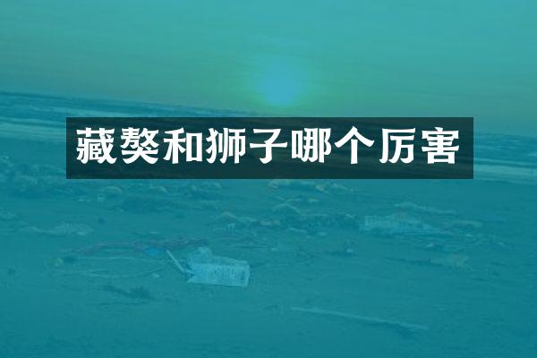 藏獒和狮子哪个厉害