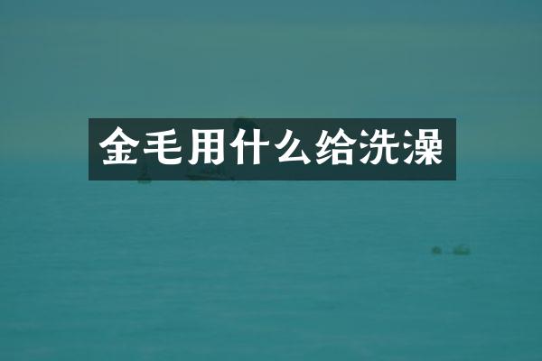 金毛用什么给洗澡