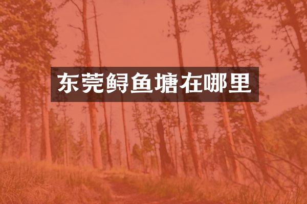 东莞鲟鱼塘在哪里