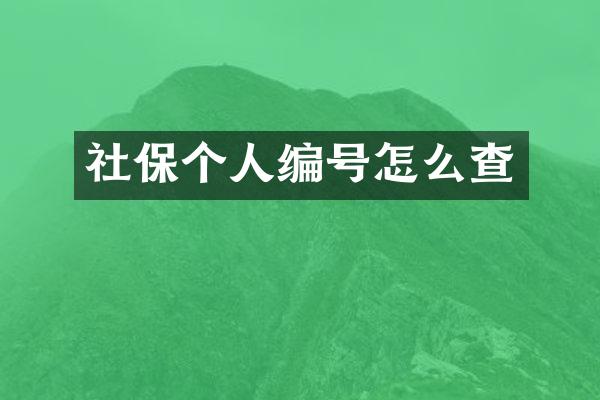 社保个人编号怎么查