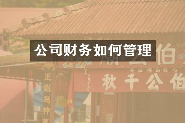 公司财务如何管理