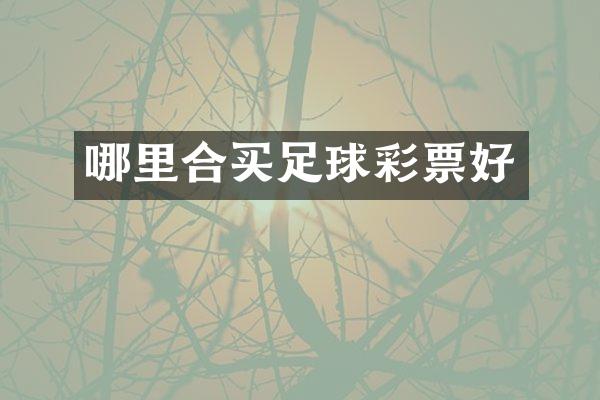 哪里合买足球彩票好