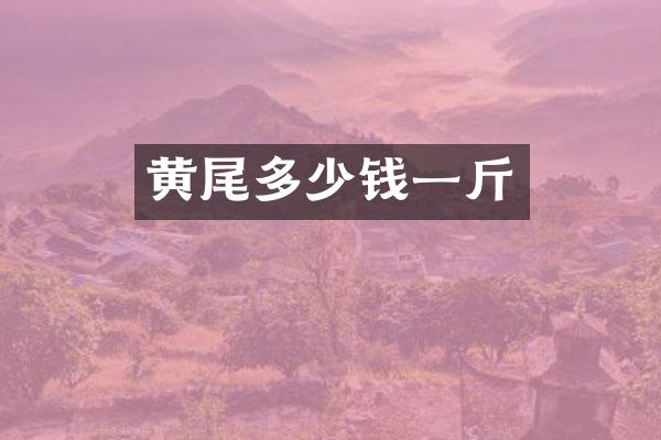 黄尾多少钱一斤