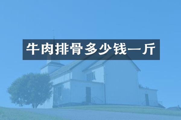 牛肉排骨多少钱一斤