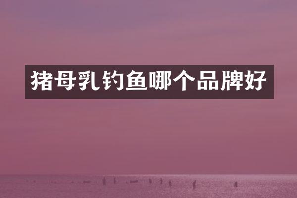 猪母乳钓鱼哪个品牌好