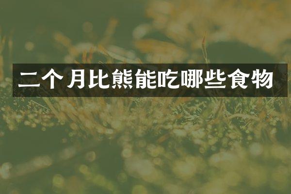 二个月比熊能吃哪些食物