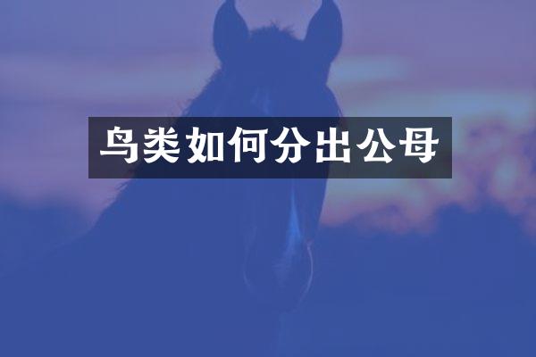 鸟类如何分出公母