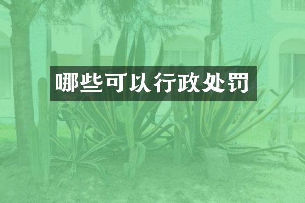 哪些可以行政处罚