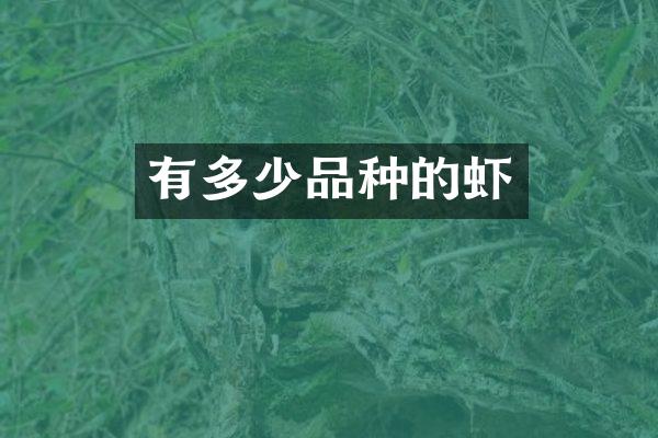 有多少品种的虾