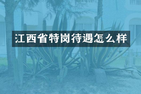 江西省特岗待遇怎么样
