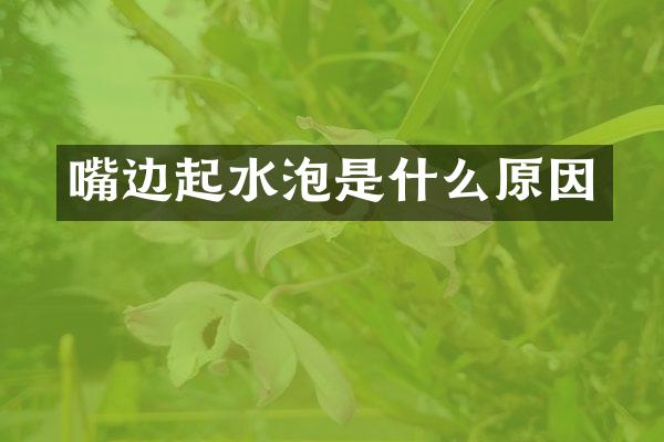 嘴边起水泡是什么原因