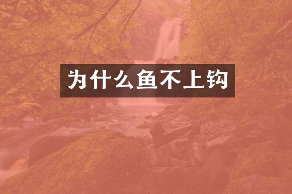 为什么鱼不上钩