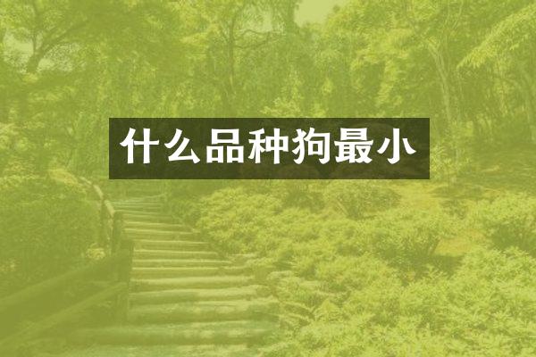 什么品种狗最小