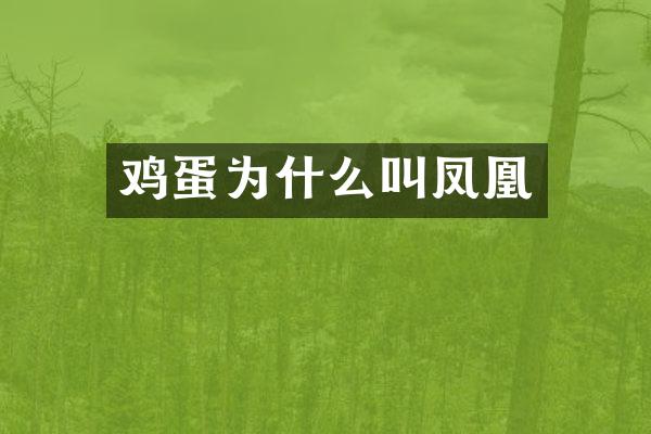 鸡蛋为什么叫凤凰