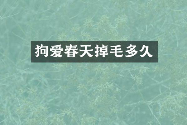 狗爱春天掉毛多久