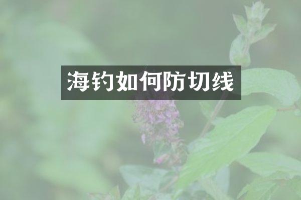 海钓如何防切线