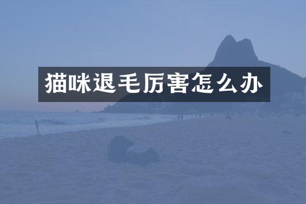 猫咪退毛厉害怎么办