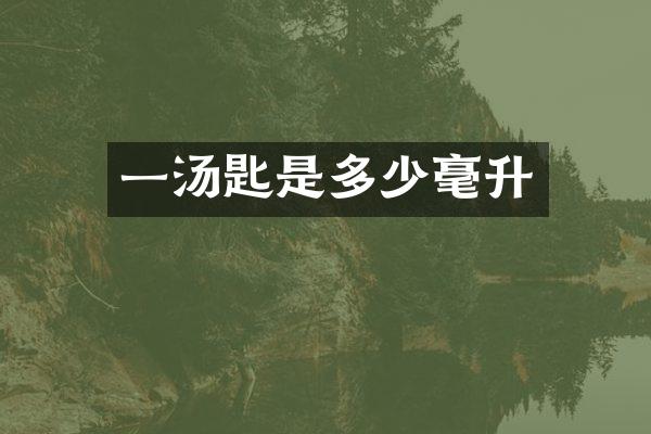 一汤匙是多少毫升