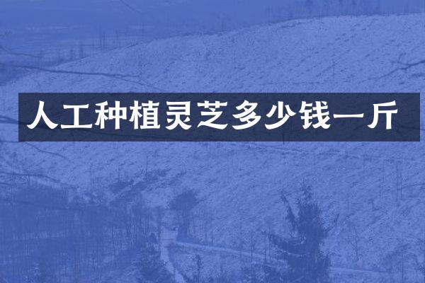 人工种植灵芝多少钱一斤