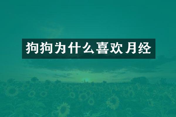 狗狗为什么喜欢月经
