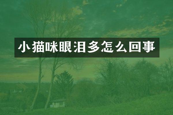 小猫咪眼泪多怎么回事