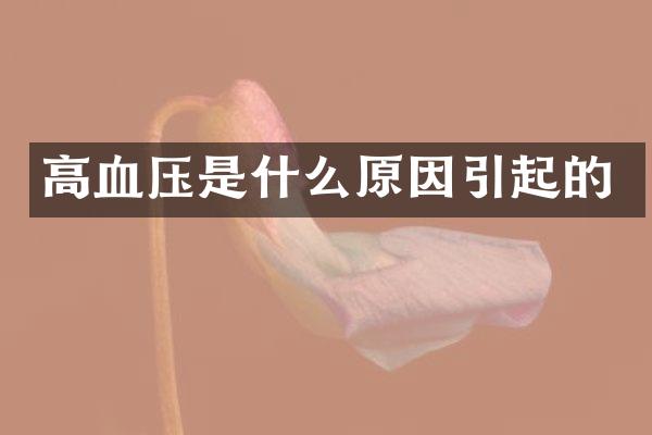 高血压是什么原因引起的