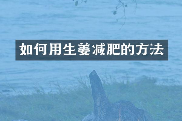 如何用生姜减肥的方法