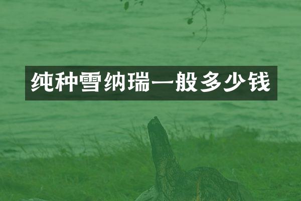纯种雪纳瑞一般多少钱