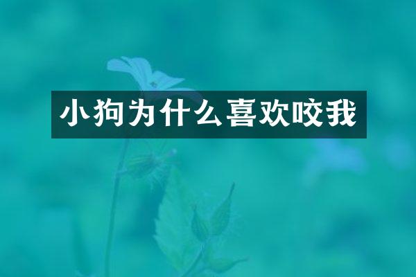 小狗为什么喜欢咬我