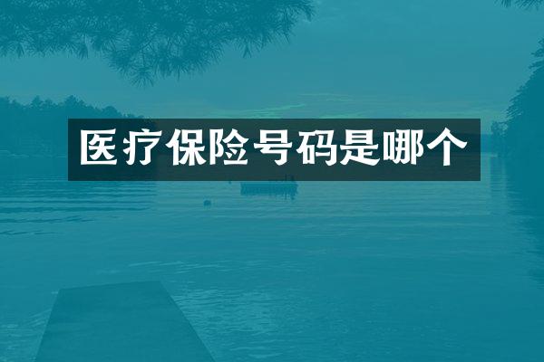 医疗保险号码是哪个
