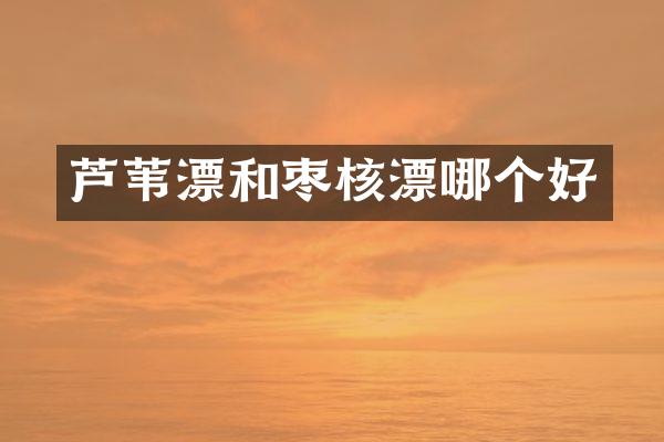 芦苇漂和枣核漂哪个好