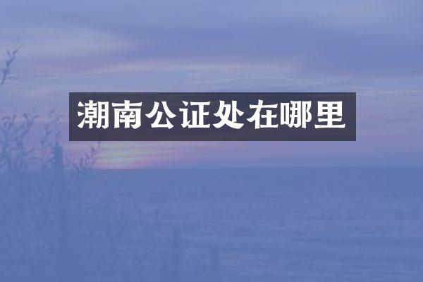 潮南公证处在哪里