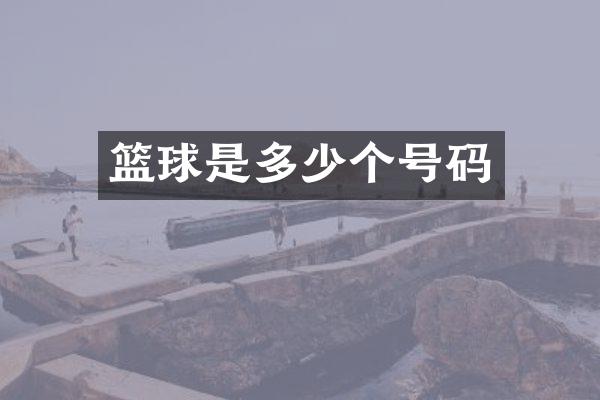 篮球是多少个号码