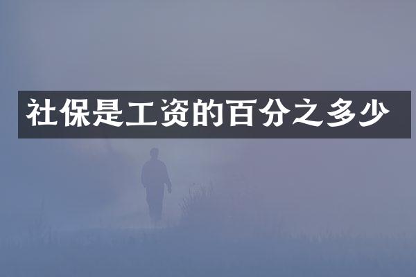 社保是工资的百分之多少