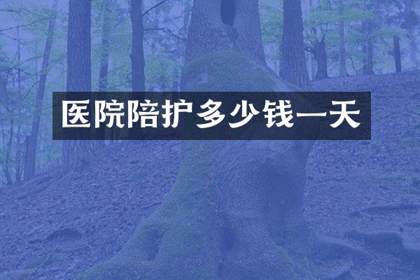 医院陪护多少钱一天