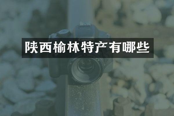 陕西榆林特产有哪些