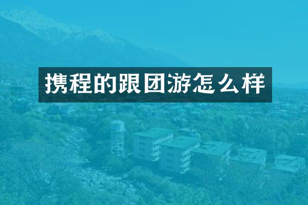 携程的跟团游怎么样